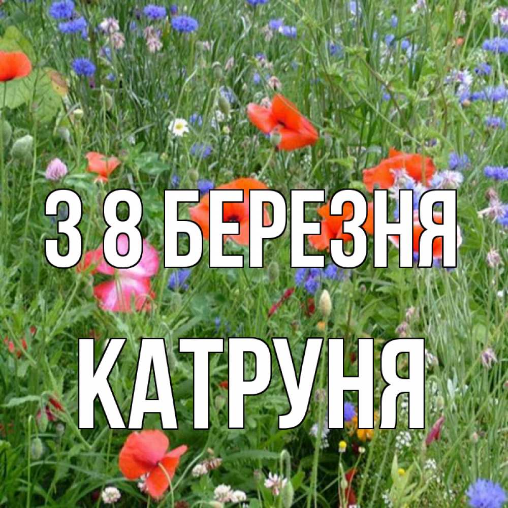 Открытка на каждый день з підписом, Катруня З 8 БЕРЕЗНЯ международный женский день 4 Прикольна листівка з побажанням онлайн скачати безкоштовно 