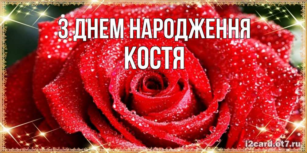 Открытка на каждый день з підписом, Костя З Днем народження роса и роза. открытка с красивой розой Прикольна листівка з побажанням онлайн скачати безкоштовно 
