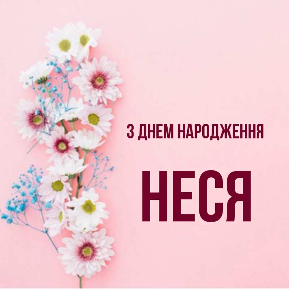 Открытка на каждый день з підписом, Неся З Днем народження Родная моя с днем рождения тебя картинка с цветами белыми и голубыми Прикольна листівка з побажанням онлайн скачати безкоштовно 