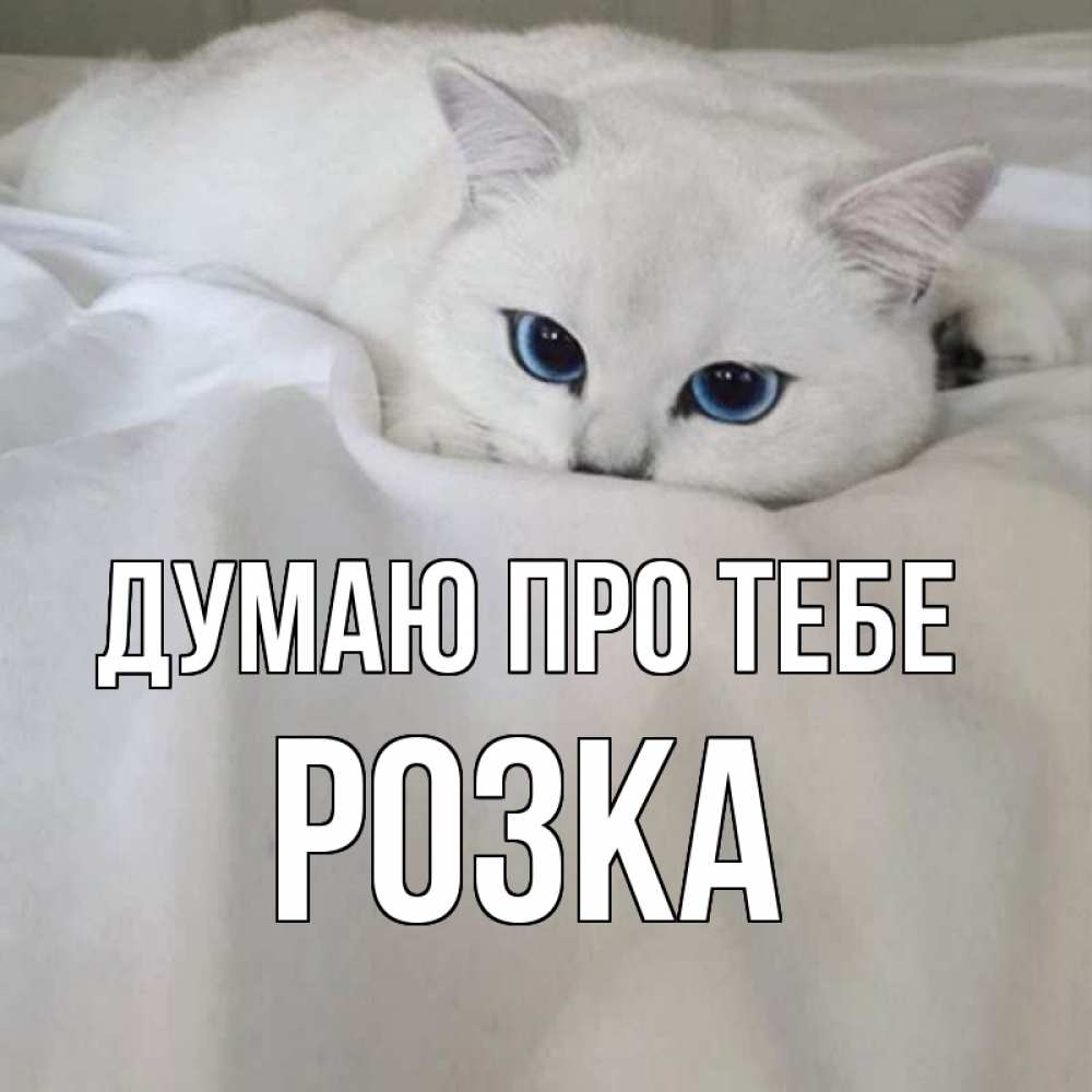 Открытка на каждый день з підписом, Розка Думаю про тебе я очень по тебе скучаю и тоскую Прикольна листівка з побажанням онлайн скачати безкоштовно 