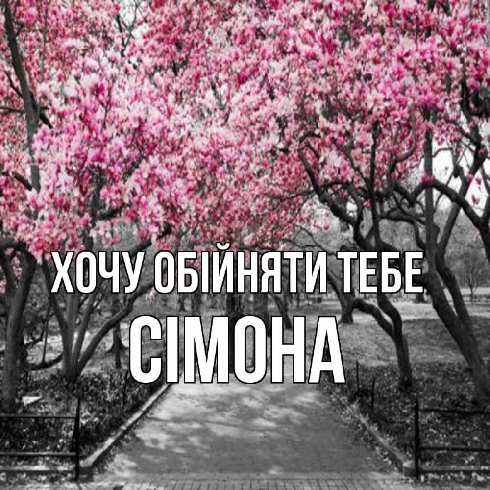 Открытка на каждый день з підписом, Сімона Хочу обійняти тебе обработанное фото Прикольна листівка з побажанням онлайн скачати безкоштовно 