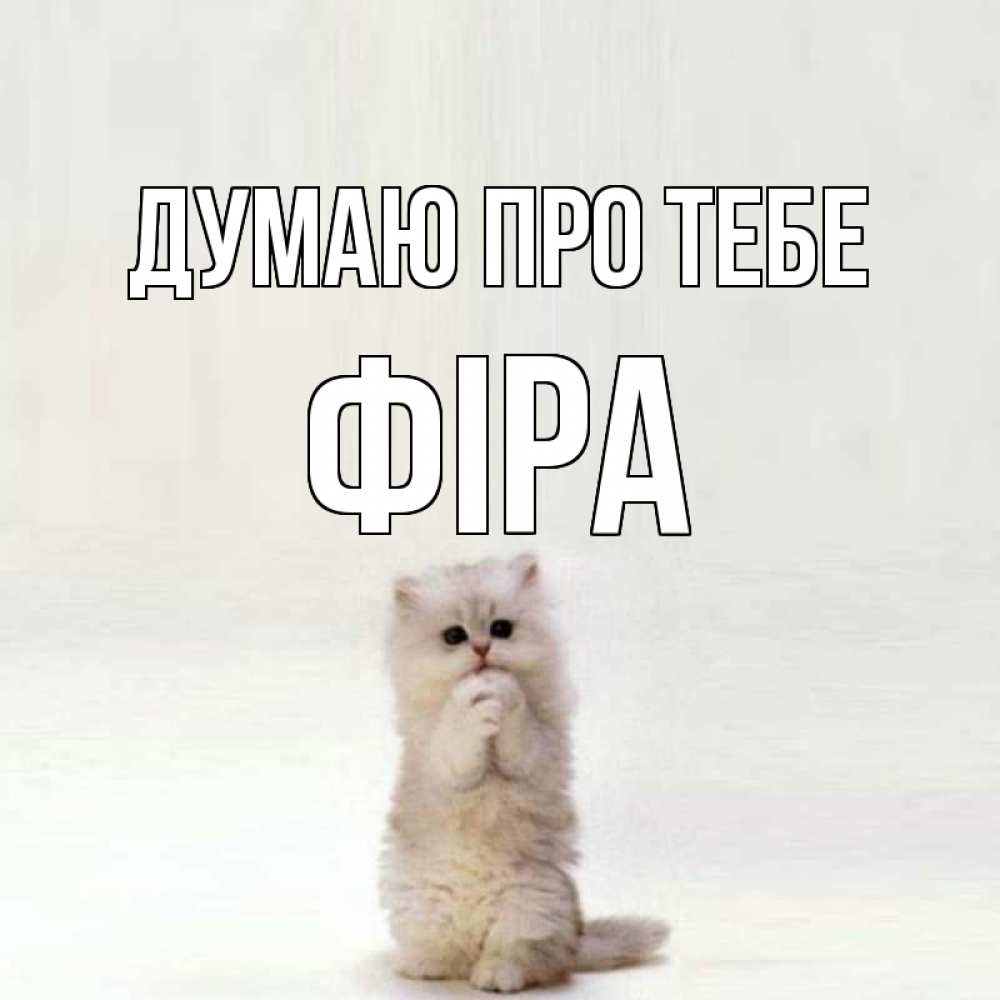 Открытка на каждый день з підписом, Фіра Думаю про тебе кот стоит на задних лапах Прикольна листівка з побажанням онлайн скачати безкоштовно 