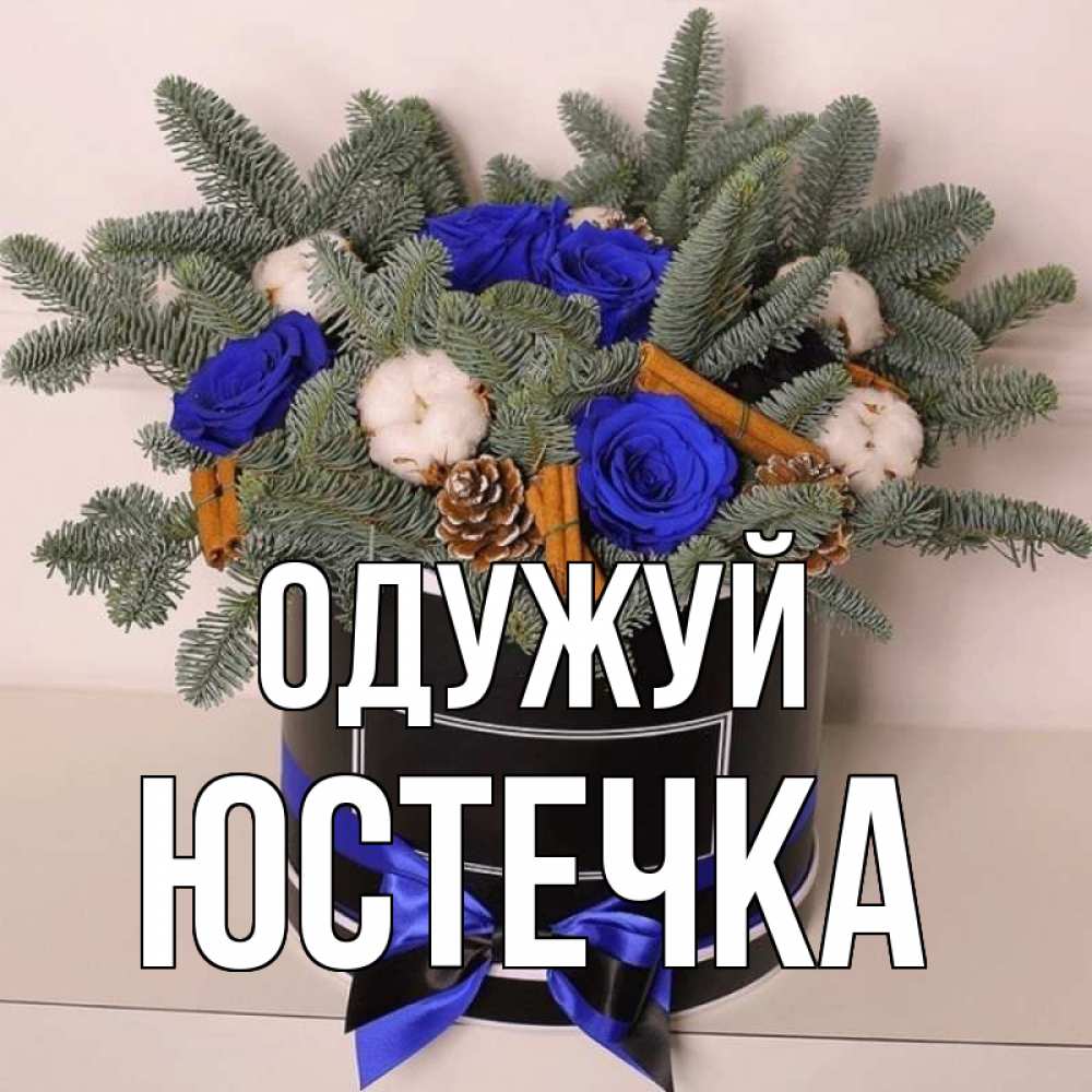 Открытка на каждый день з підписом, Юстечка Одужуй короче кто то загрузил эти шишки Прикольна листівка з побажанням онлайн скачати безкоштовно 