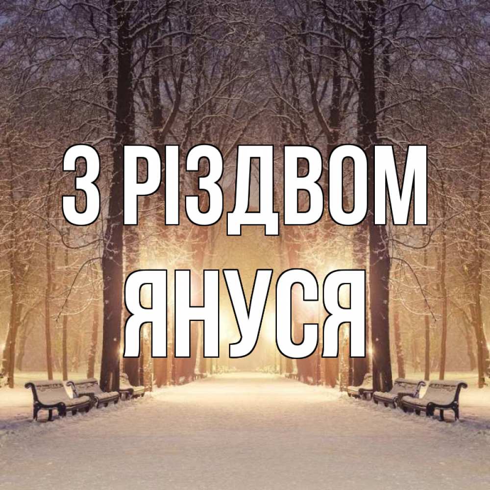 Открытка на каждый день з підписом, Януся З Різдвом зима, парк, фонарь, лес Прикольна листівка з побажанням онлайн скачати безкоштовно 