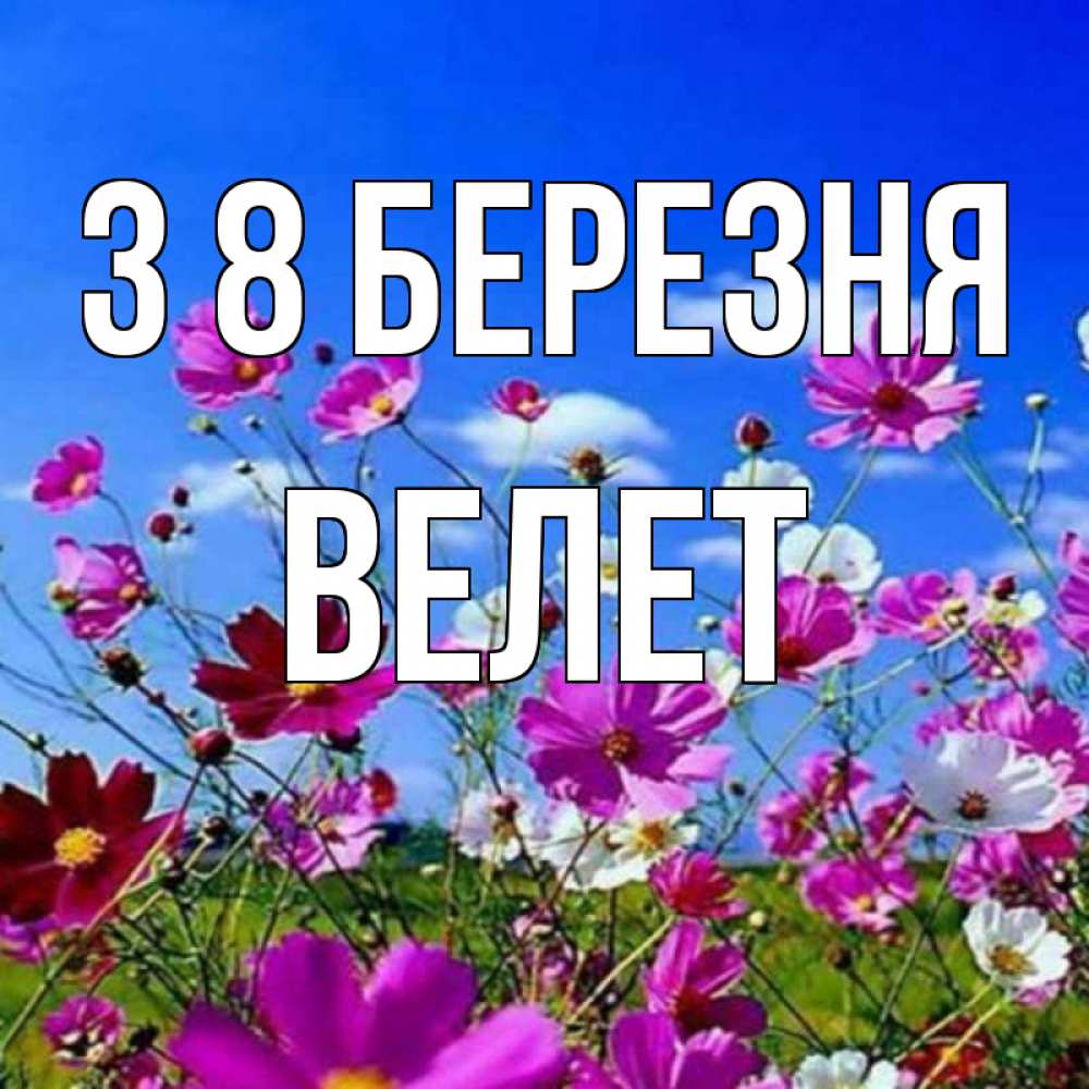 Открытка на каждый день з підписом, Велет З 8 БЕРЕЗНЯ цветы Прикольна листівка з побажанням онлайн скачати безкоштовно 