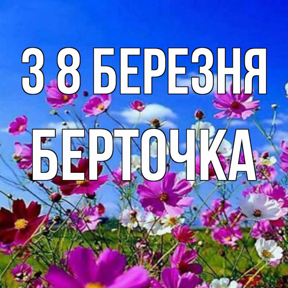 Открытка на каждый день з підписом, Берточка З 8 БЕРЕЗНЯ цветы Прикольна листівка з побажанням онлайн скачати безкоштовно 