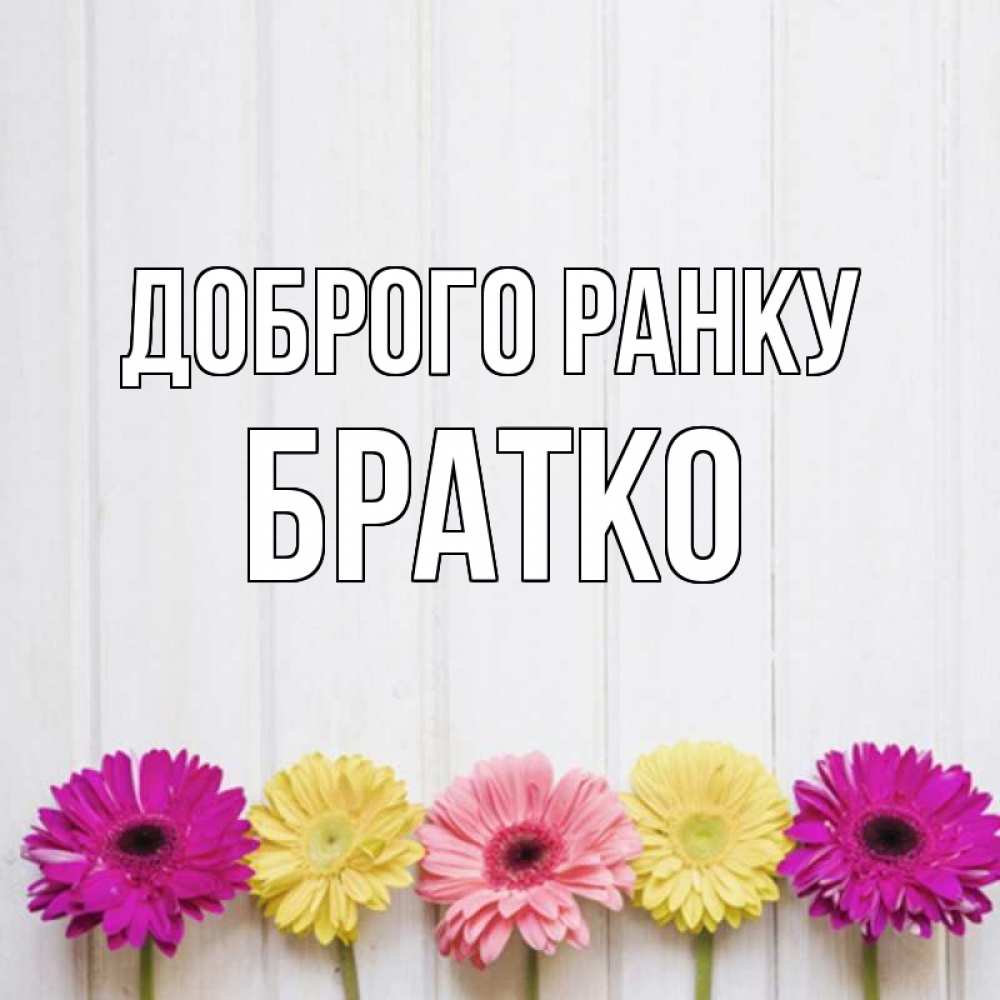 Открытка на каждый день з підписом, Братко Доброго ранку красный желтый и розовый цветок Прикольна листівка з побажанням онлайн скачати безкоштовно 