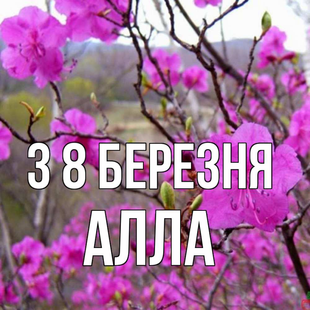 Открытка на каждый день з підписом, Алла З 8 БЕРЕЗНЯ международный женский день Прикольна листівка з побажанням онлайн скачати безкоштовно 