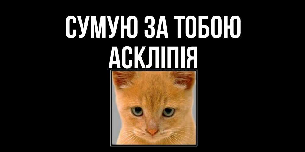 Открытка на каждый день з підписом, Аскліпія Сумую за тобою открытки рыжий котенок скучает по тебе Прикольна листівка з побажанням онлайн скачати безкоштовно 