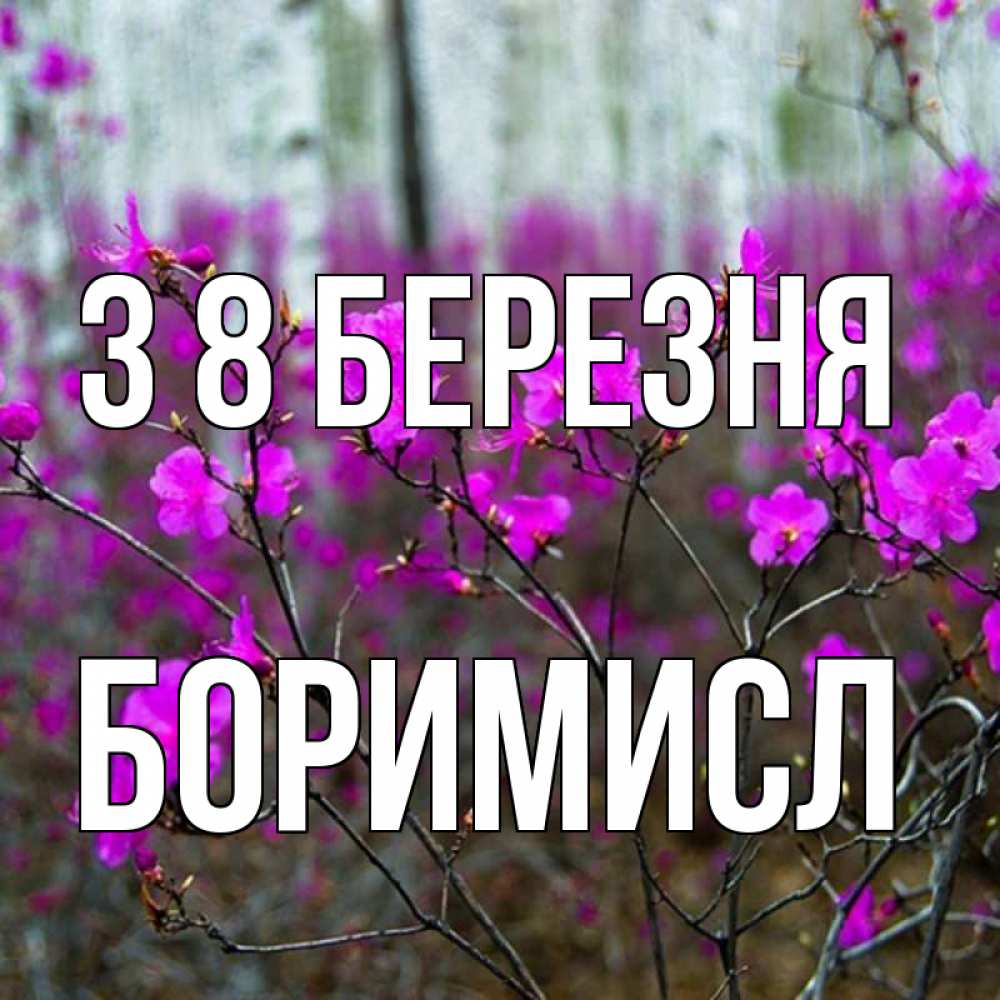 Открытка на каждый день з підписом, Боримисл З 8 БЕРЕЗНЯ дикие цветы Прикольна листівка з побажанням онлайн скачати безкоштовно 