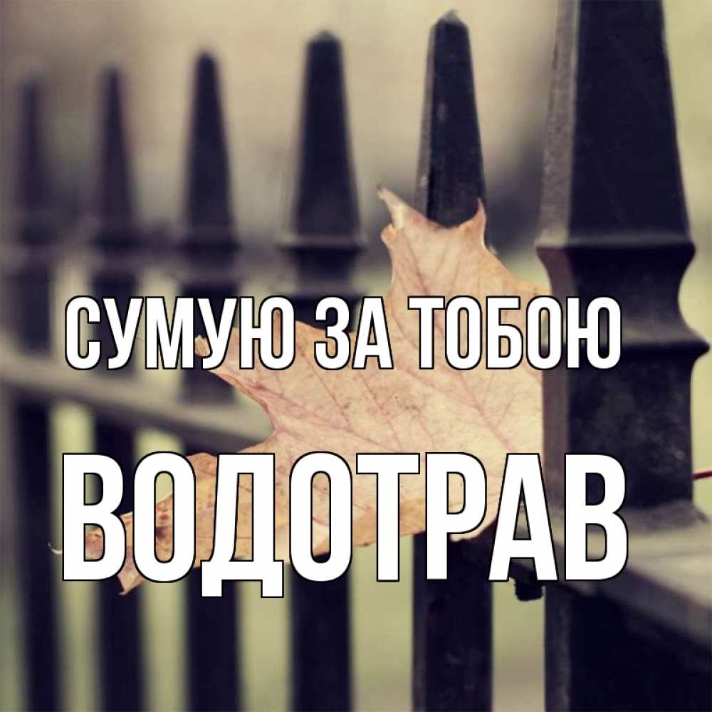 Открытка на каждый день з підписом, Водотрав Сумую за тобою очень скучно Прикольна листівка з побажанням онлайн скачати безкоштовно 