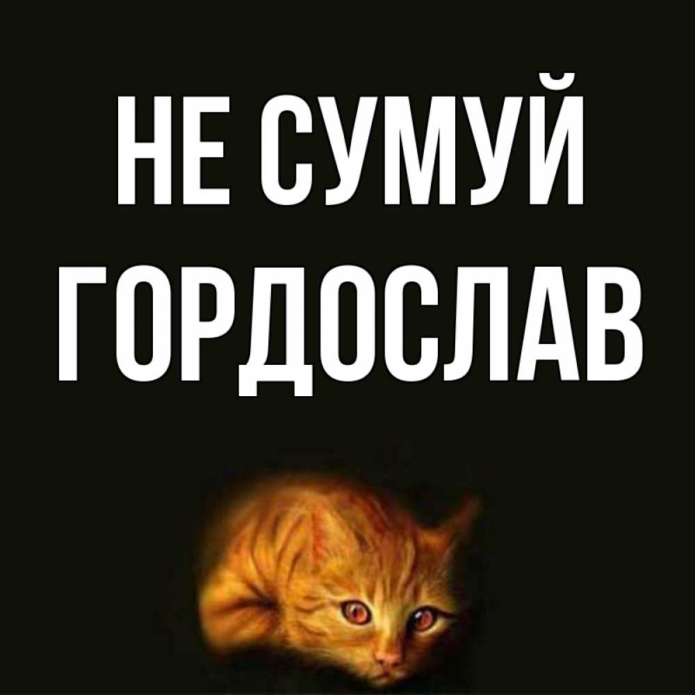 Открытка на каждый день з підписом, Гордослав Не сумуй лежащий кот в темноте Прикольна листівка з побажанням онлайн скачати безкоштовно 