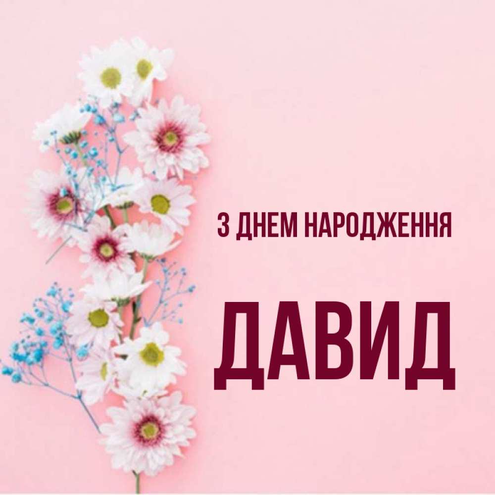 Открытка на каждый день з підписом, Давид З Днем народження Родная моя с днем рождения тебя картинка с цветами белыми и голубыми Прикольна листівка з побажанням онлайн скачати безкоштовно 