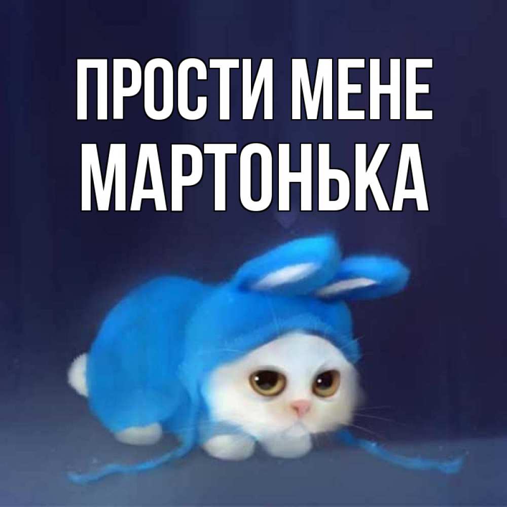 Открытка на каждый день з підписом, Мартонька Прости мене невинный котозай просит прощения Прикольна листівка з побажанням онлайн скачати безкоштовно 
