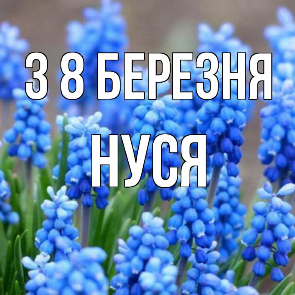 Открытка на каждый день з підписом, Нуся З 8 БЕРЕЗНЯ Поздравительная открытка для женщин с цветами на праздничную дату Прикольна листівка з побажанням онлайн скачати безкоштовно 