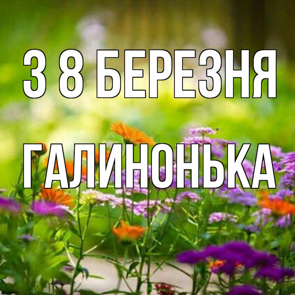 Открытка на каждый день з підписом, Галинонька З 8 БЕРЕЗНЯ цветы Прикольна листівка з побажанням онлайн скачати безкоштовно 