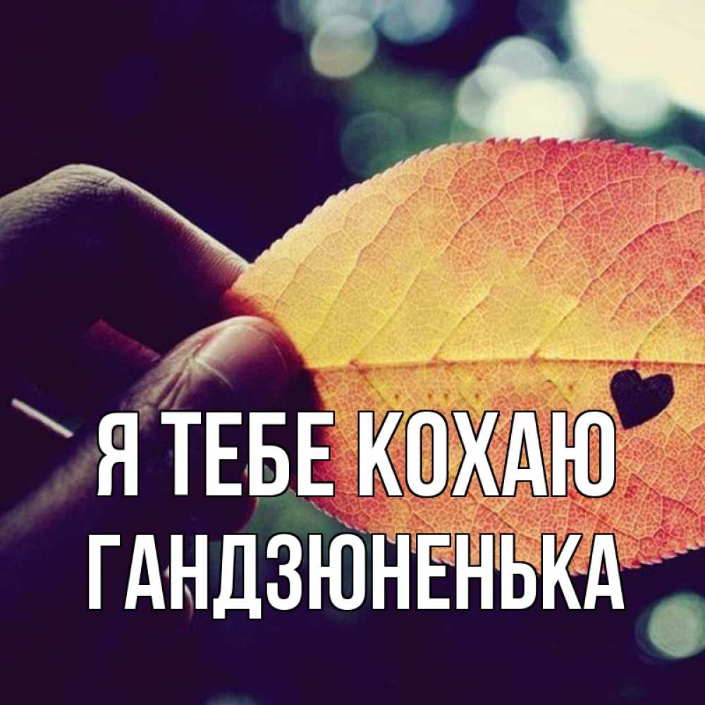 Открытка на каждый день з підписом, Гандзюненька Я тебе кохаю держу лист Прикольна листівка з побажанням онлайн скачати безкоштовно 