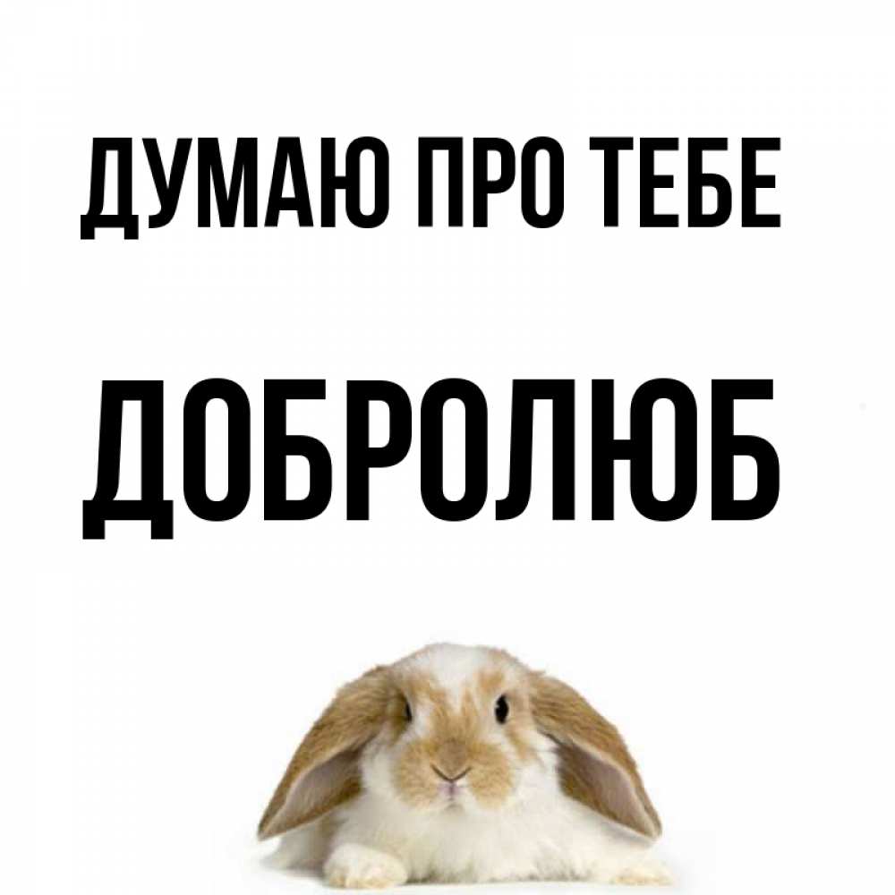 Открытка на каждый день з підписом, Добролюб Думаю про тебе подписать своими руками онлайн Прикольна листівка з побажанням онлайн скачати безкоштовно 