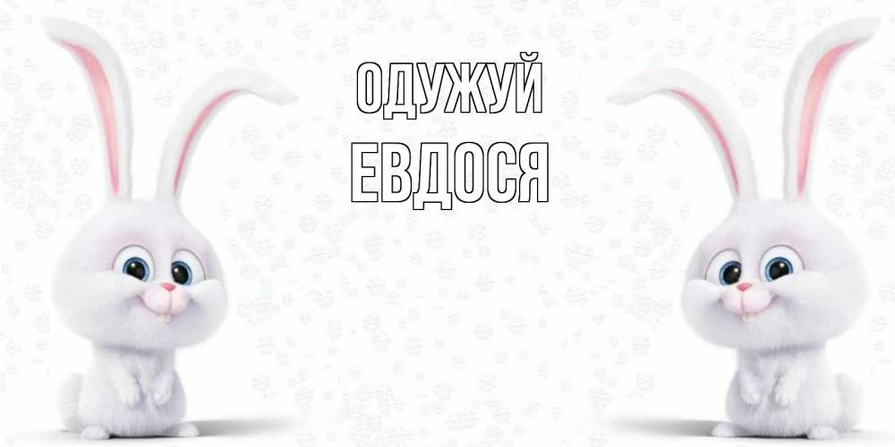 Открытка на каждый день з підписом, Евдося Одужуй не болей с зайцем Прикольна листівка з побажанням онлайн скачати безкоштовно 