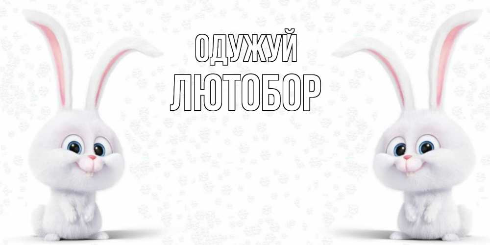 Открытка на каждый день з підписом, Лютобор Одужуй не болей с зайцем Прикольна листівка з побажанням онлайн скачати безкоштовно 