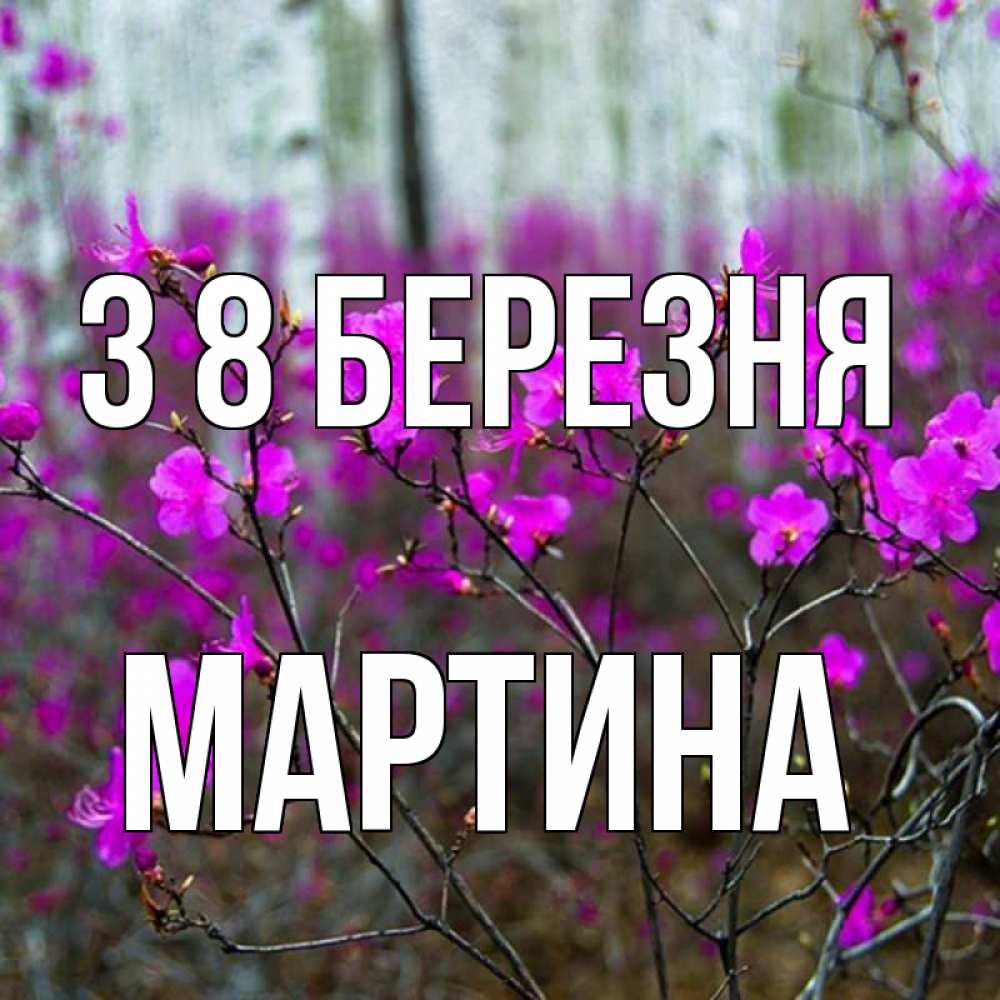 Открытка на каждый день з підписом, Мартина З 8 БЕРЕЗНЯ дикие цветы Прикольна листівка з побажанням онлайн скачати безкоштовно 