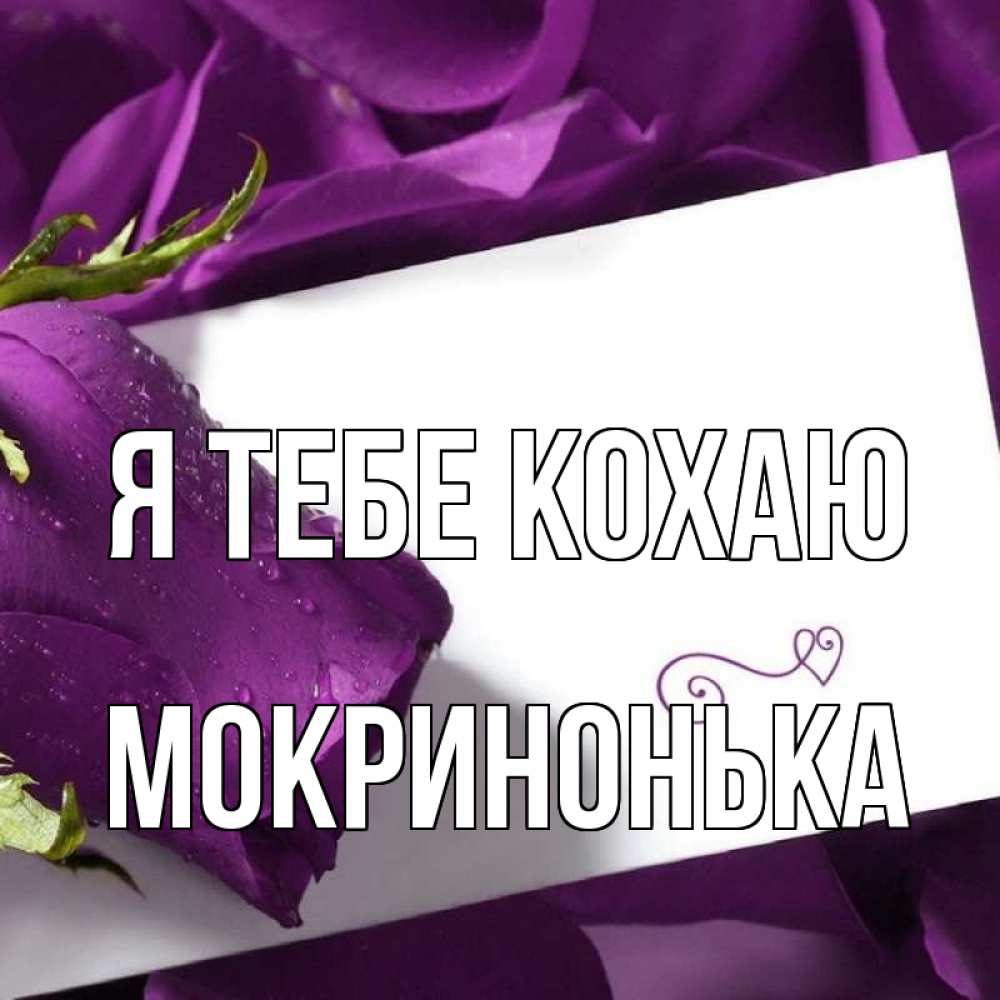 Открытка на каждый день з підписом, Мокринонька Я тебе кохаю роза Прикольна листівка з побажанням онлайн скачати безкоштовно 