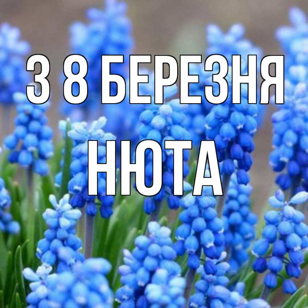 Открытка на каждый день з підписом, Нюта З 8 БЕРЕЗНЯ Поздравительная открытка для женщин с цветами на праздничную дату Прикольна листівка з побажанням онлайн скачати безкоштовно 