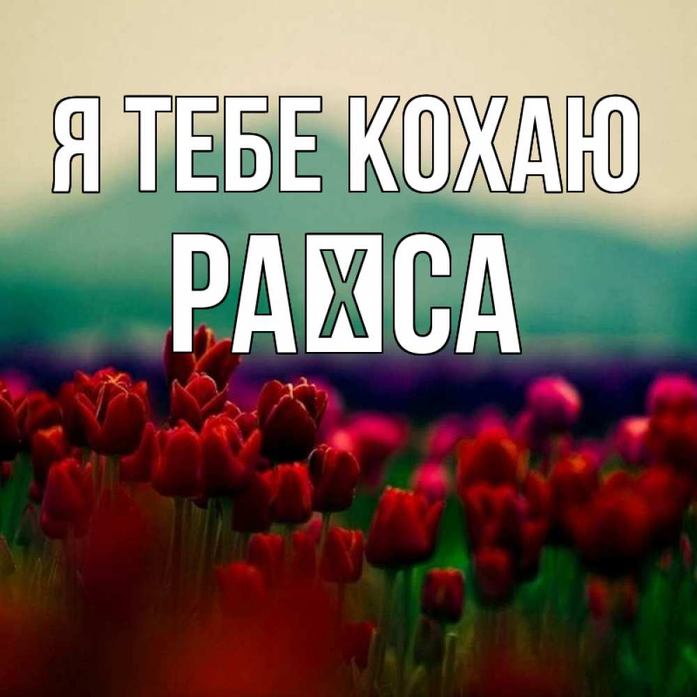 Открытка на каждый день з підписом, Раїса Я тебе кохаю тюльпаны 4 Прикольна листівка з побажанням онлайн скачати безкоштовно 