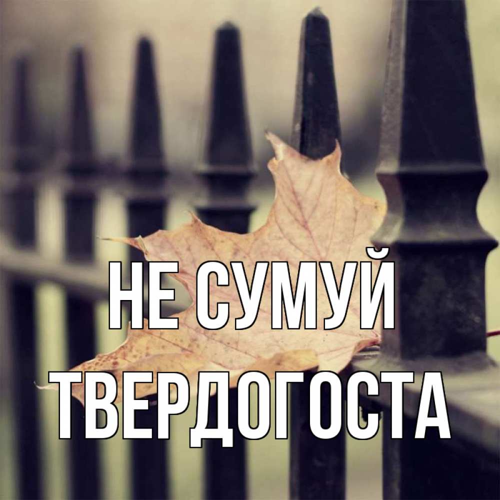 Открытка на каждый день з підписом, Твердогоста Не сумуй лист клена Прикольна листівка з побажанням онлайн скачати безкоштовно 