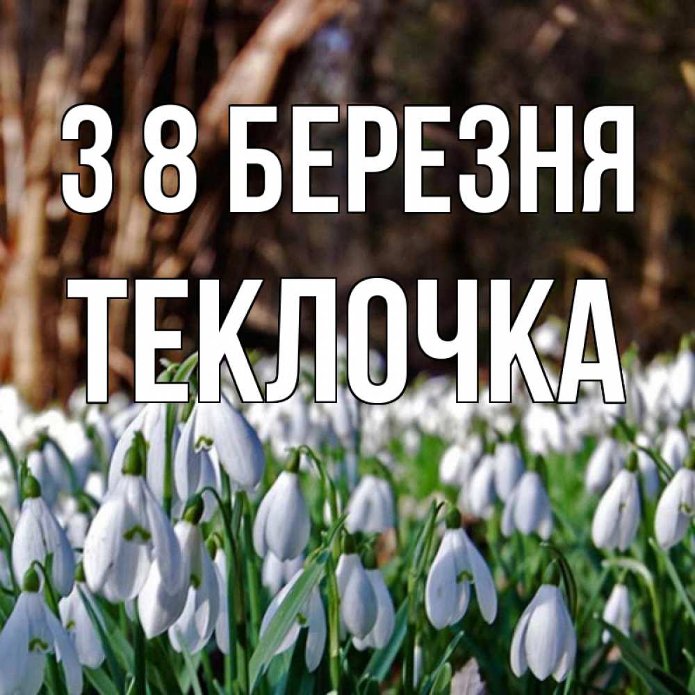 Открытка на каждый день з підписом, Теклочка З 8 БЕРЕЗНЯ с подснежниками 1 Прикольна листівка з побажанням онлайн скачати безкоштовно 