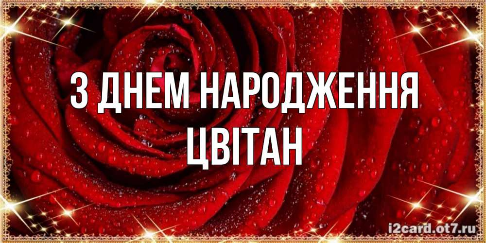 Открытка на каждый день з підписом, Цвітан З Днем народження роса на розе блестящая в лучах солнца Прикольна листівка з побажанням онлайн скачати безкоштовно 
