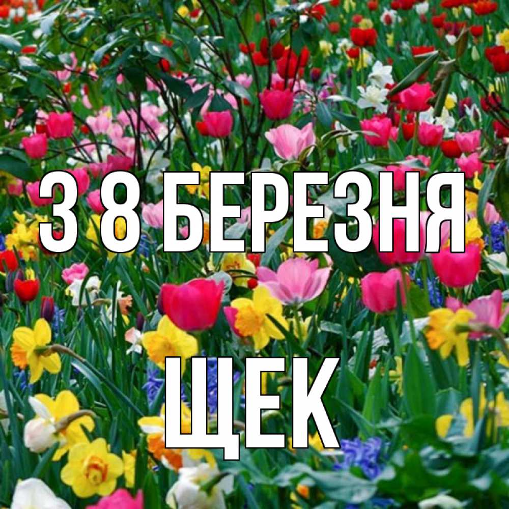 Открытка на каждый день з підписом, Щек З 8 БЕРЕЗНЯ с международным женским днем поздравления для женщины Прикольна листівка з побажанням онлайн скачати безкоштовно 