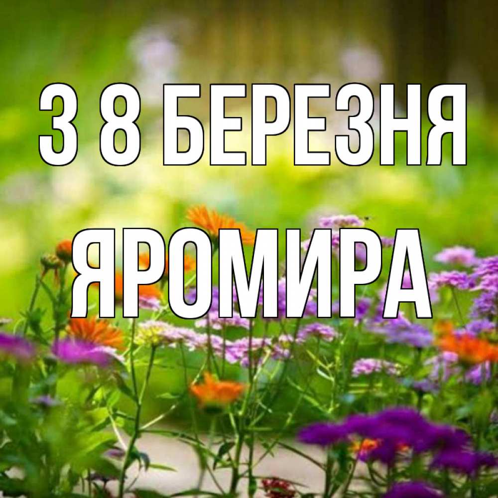 Открытка на каждый день з підписом, Яромира З 8 БЕРЕЗНЯ цветы Прикольна листівка з побажанням онлайн скачати безкоштовно 
