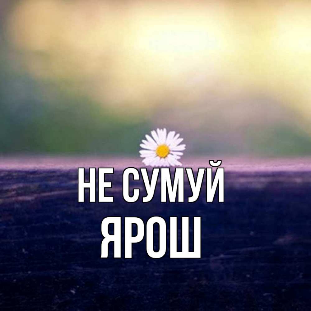 Открытка на каждый день з підписом, Ярош Не сумуй красота Прикольна листівка з побажанням онлайн скачати безкоштовно 