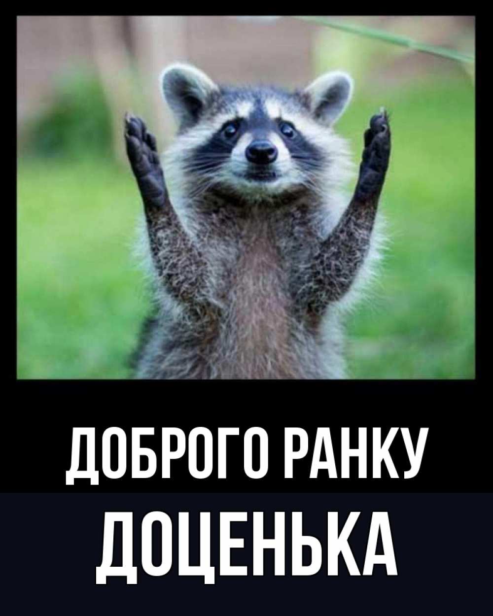 Открытка на каждый день з підписом, Доценька Доброго ранку хорошее настроение утречком Прикольна листівка з побажанням онлайн скачати безкоштовно 