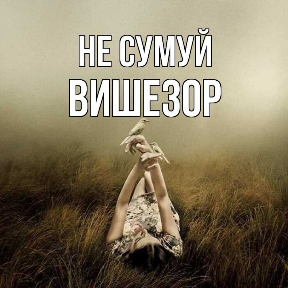Открытка на каждый день з підписом, Вишезор Не сумуй поле и туман Прикольна листівка з побажанням онлайн скачати безкоштовно 