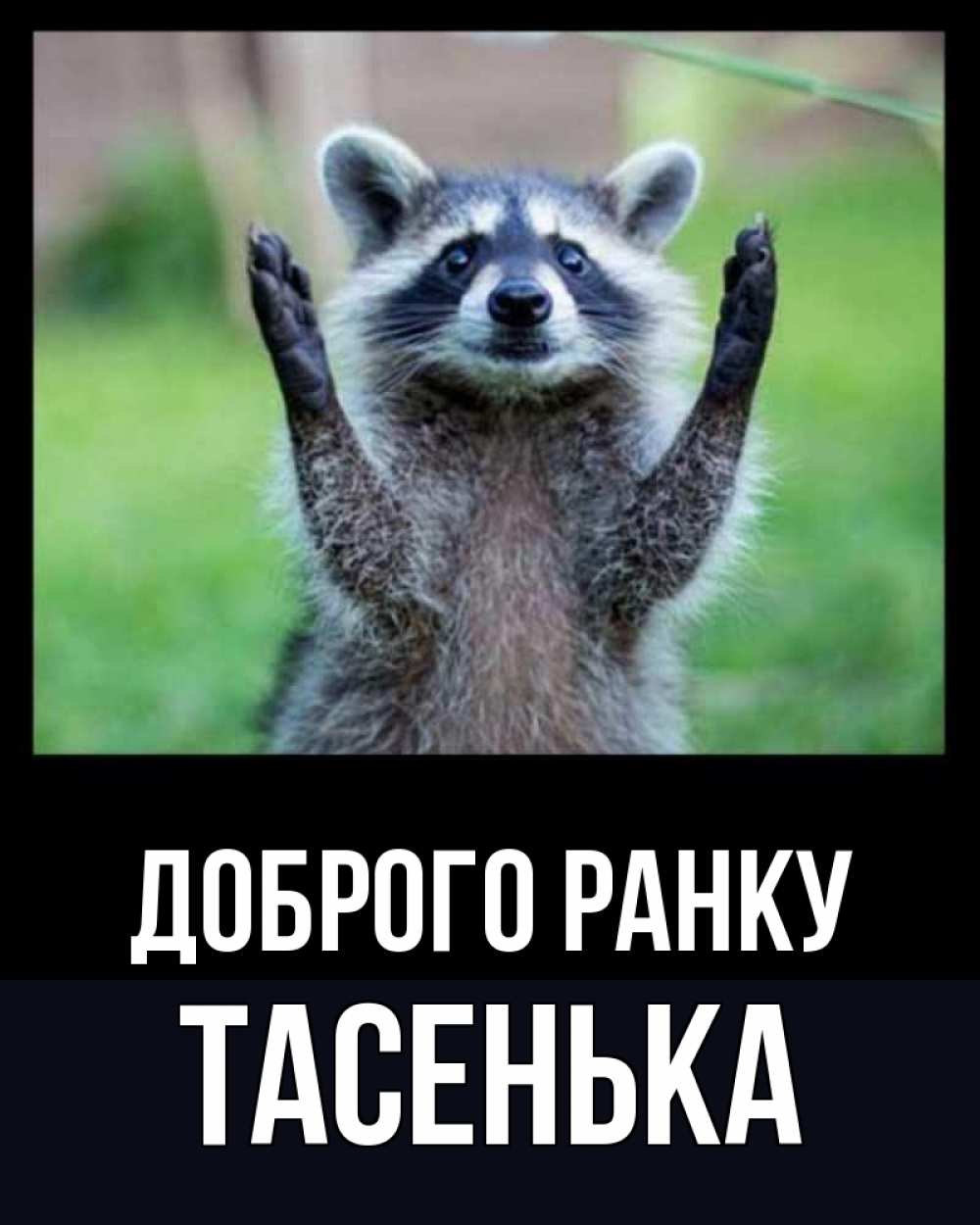Открытка на каждый день з підписом, Тасенька Доброго ранку хорошее настроение утречком Прикольна листівка з побажанням онлайн скачати безкоштовно 