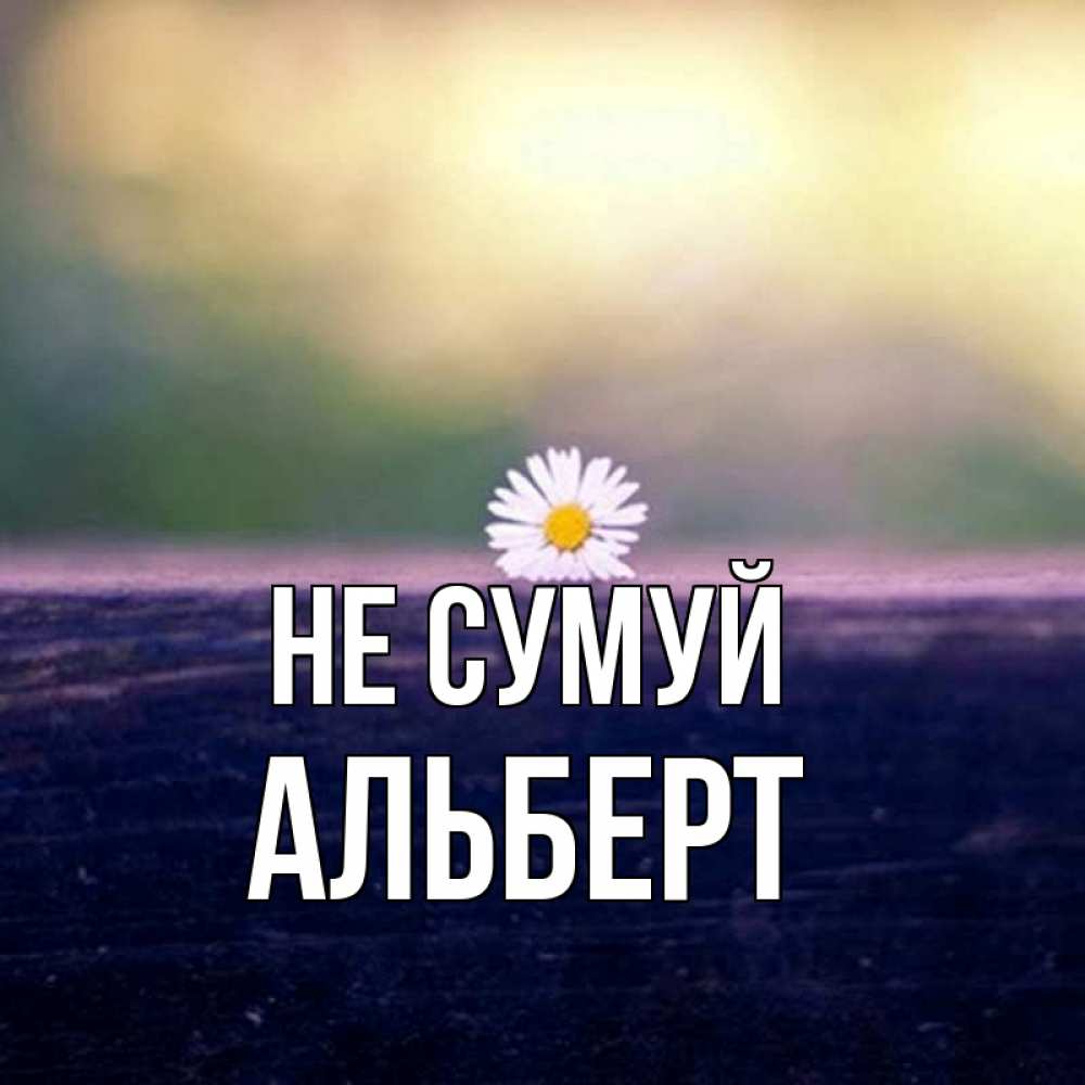 Открытка на каждый день з підписом, Альберт Не сумуй красота Прикольна листівка з побажанням онлайн скачати безкоштовно 