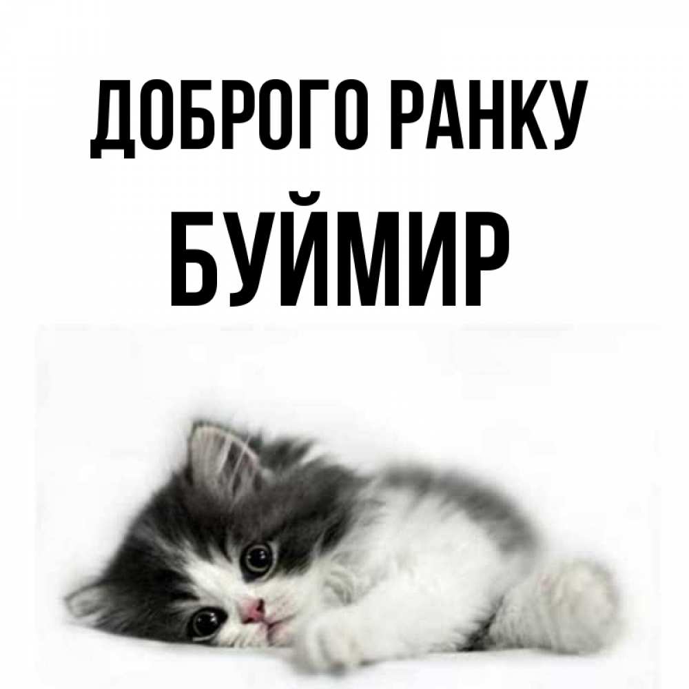 Открытка на каждый день з підписом, Буймир Доброго ранку кот лапки Прикольна листівка з побажанням онлайн скачати безкоштовно 