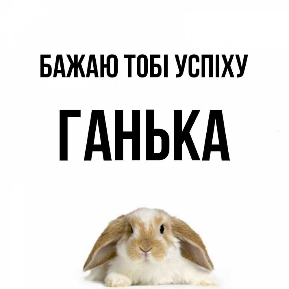Открытка на каждый день з підписом, Ганька Бажаю тобі успіху открытки с произвольным текстом который можно вставить в открытку и создать ее самостоятельно бесплатно онлайн Прикольна листівка з побажанням онлайн скачати безкоштовно 
