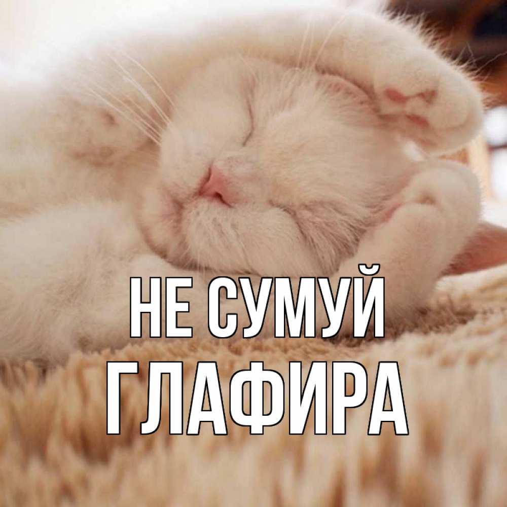 Открытка на каждый день з підписом, Глафира Не сумуй белый кот Прикольна листівка з побажанням онлайн скачати безкоштовно 