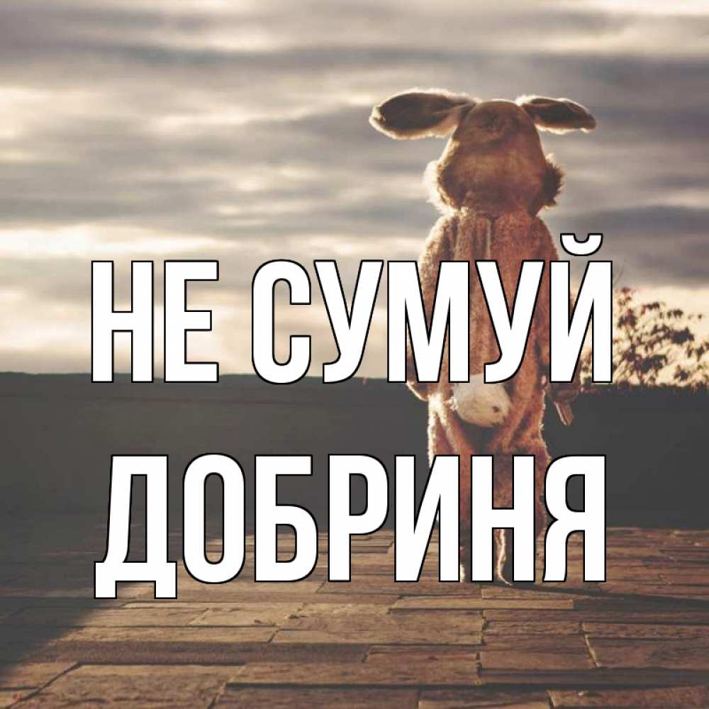 Открытка на каждый день з підписом, Добриня Не сумуй со спины Прикольна листівка з побажанням онлайн скачати безкоштовно 