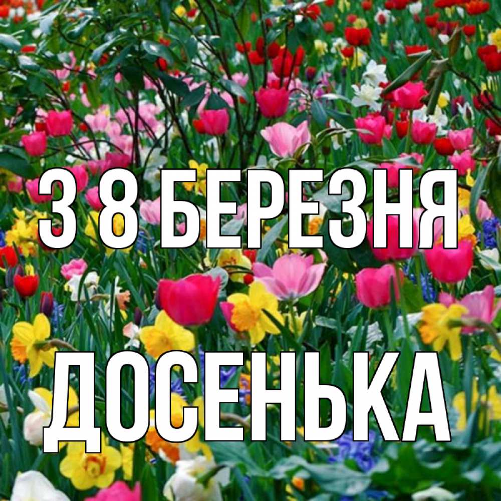 Открытка на каждый день з підписом, Досенька З 8 БЕРЕЗНЯ с международным женским днем поздравления для женщины Прикольна листівка з побажанням онлайн скачати безкоштовно 