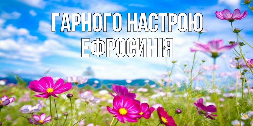 Открытка на каждый день з підписом, Ефросинія Гарного настрою поле цветов Прикольна листівка з побажанням онлайн скачати безкоштовно 