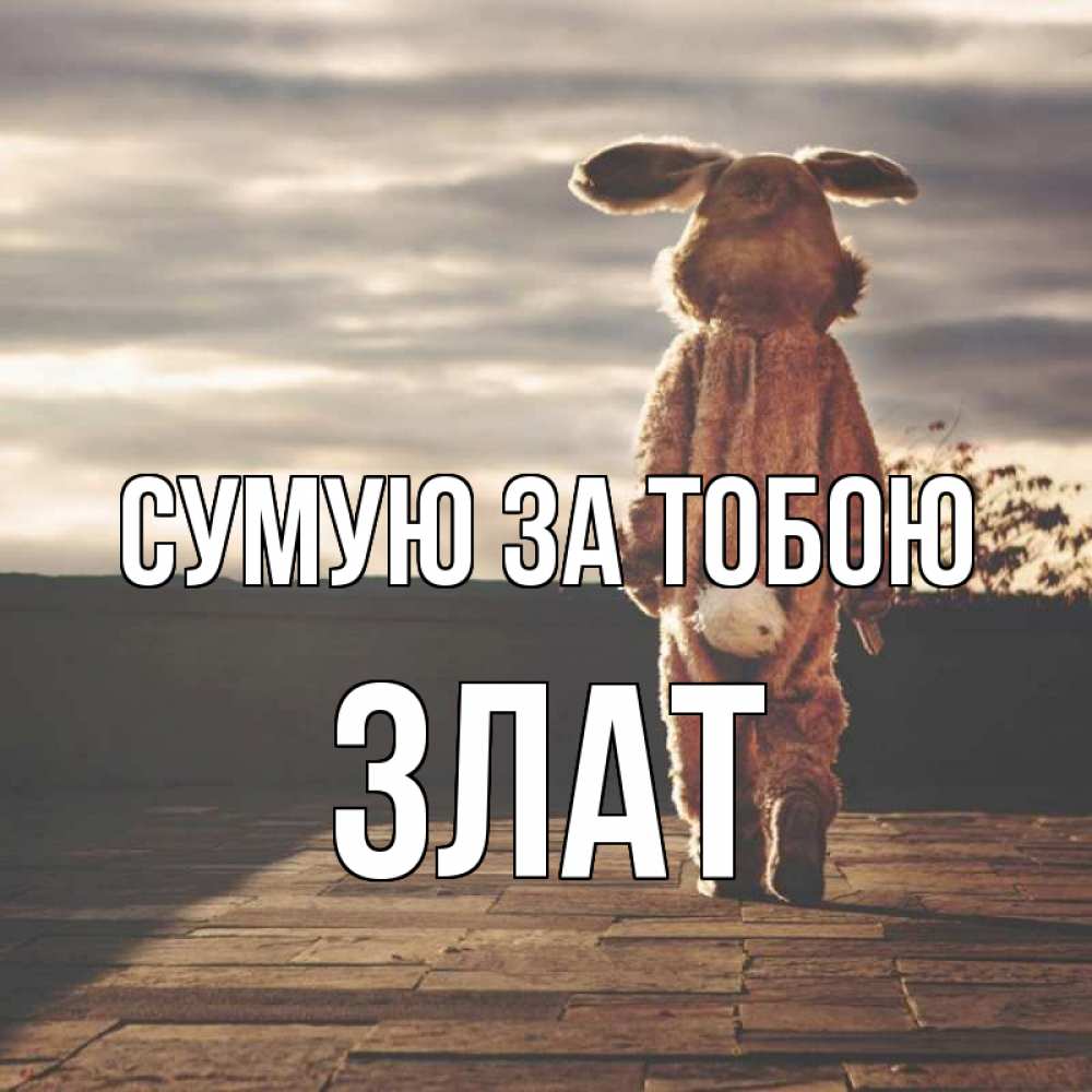 Открытка на каждый день з підписом, Злат Сумую за тобою даже в костюме зайца Прикольна листівка з побажанням онлайн скачати безкоштовно 