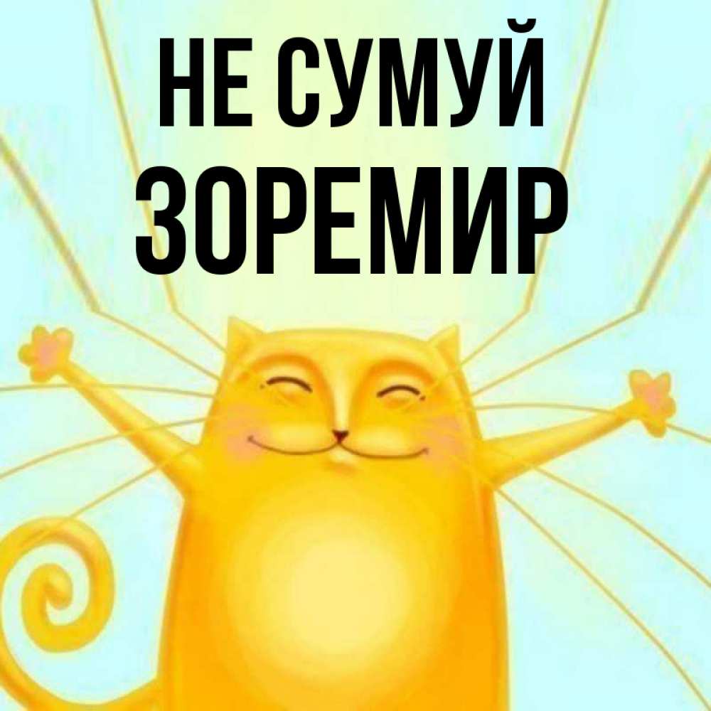 Открытка на каждый день з підписом, Зоремир Не сумуй обнимашки усатые Прикольна листівка з побажанням онлайн скачати безкоштовно 