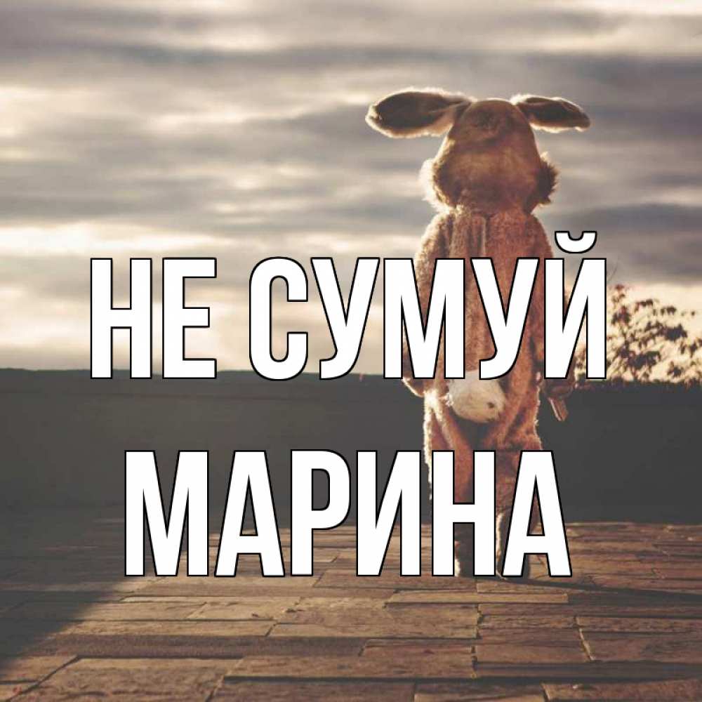 Открытка на каждый день з підписом, Марина Не сумуй со спины Прикольна листівка з побажанням онлайн скачати безкоштовно 