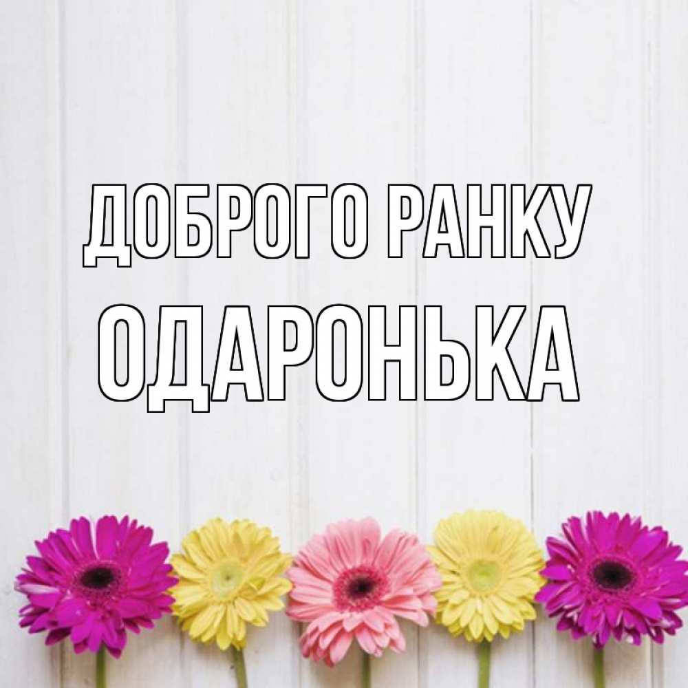 Открытка на каждый день з підписом, Одаронька Доброго ранку красный желтый и розовый цветок Прикольна листівка з побажанням онлайн скачати безкоштовно 