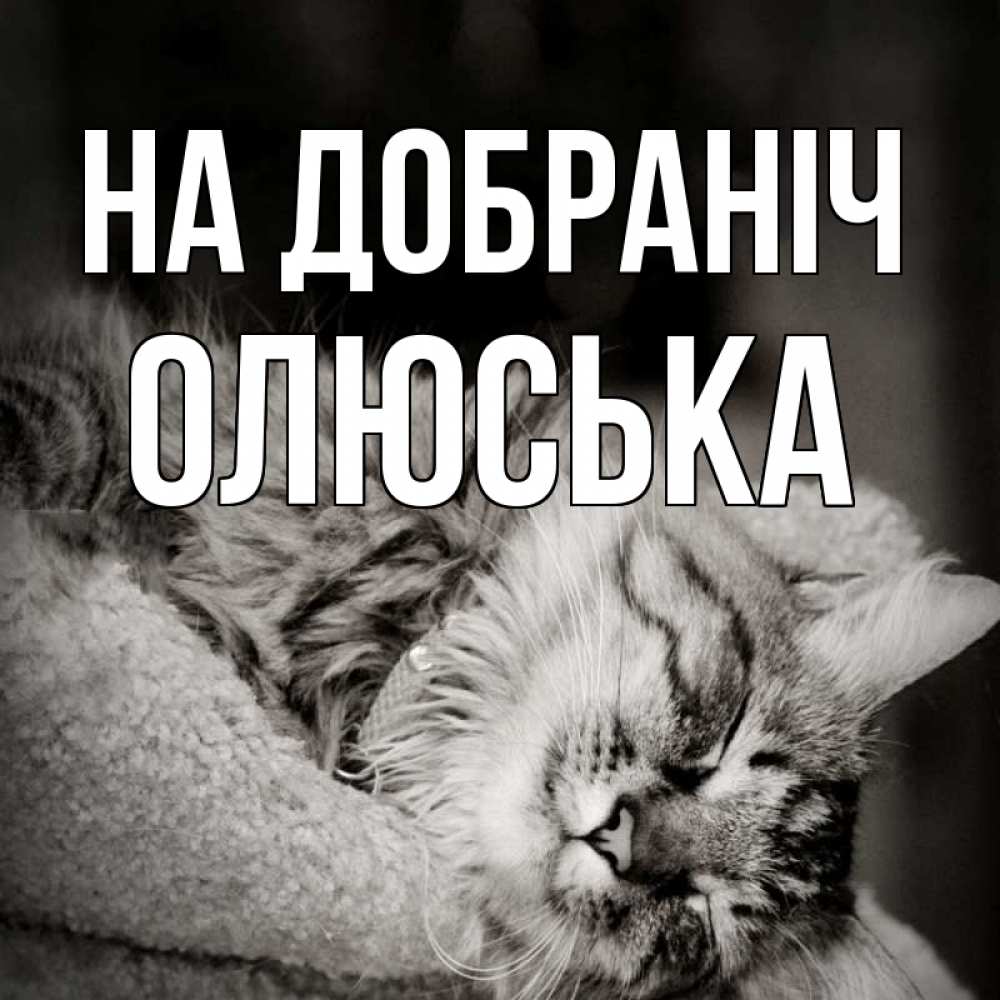 Открытка на каждый день з підписом, Олюська На добраніч котярик пушистый Прикольна листівка з побажанням онлайн скачати безкоштовно 