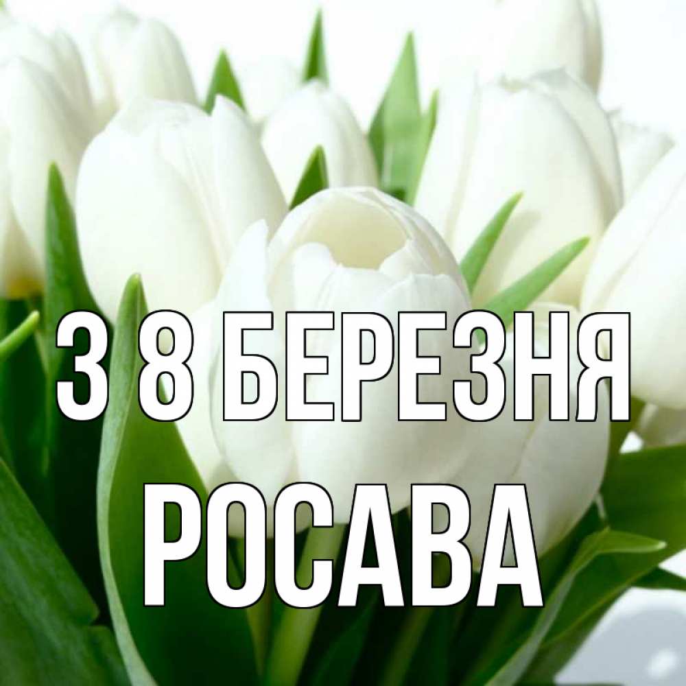 Открытка на каждый день з підписом, Росава З 8 БЕРЕЗНЯ цветы Прикольна листівка з побажанням онлайн скачати безкоштовно 